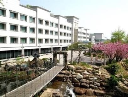 본관 앞 계곡 정원 — 바위 사이로 흐르는 물 위의 작은 흔들다리, 분홍 꽃나무, 뒤로 흰 호텔 건물
